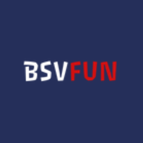 BSV Fun Casino  logo