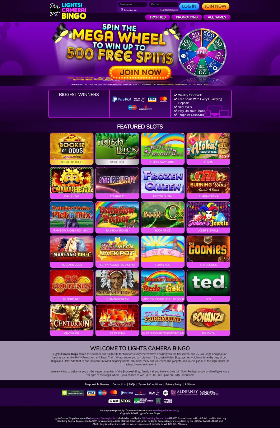 Lights Camera Bingo Casino  screenshot