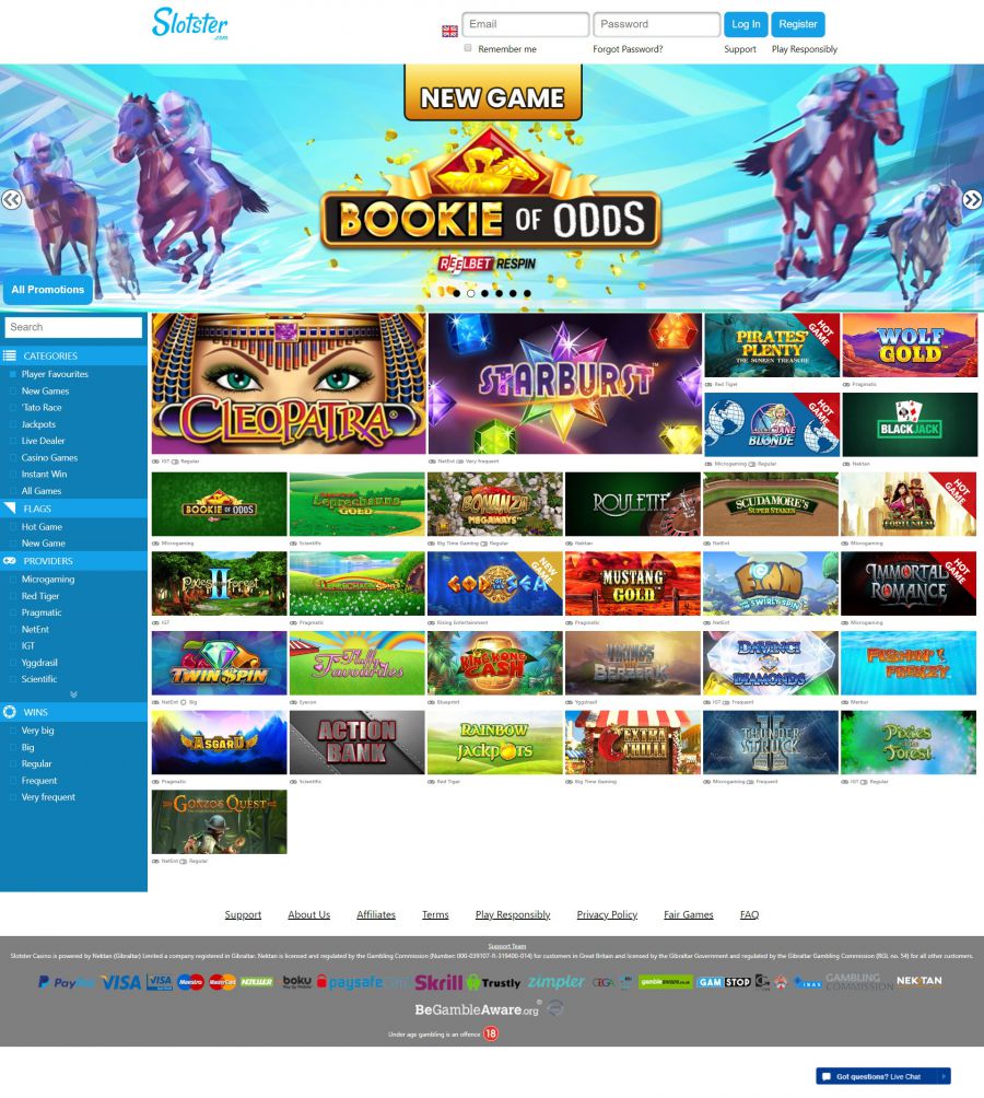 Slotster Casino  screenshot